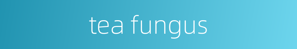 tea fungus的同义词