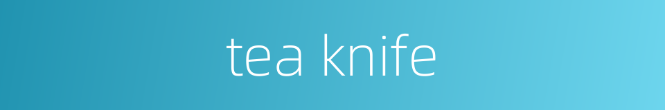 tea knife的同义词
