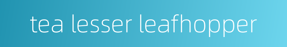 tea lesser leafhopper的同义词
