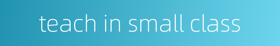 teach in small class的同义词