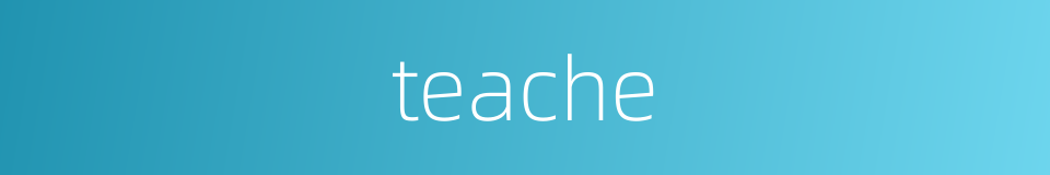 teache的同义词