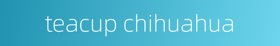 teacup chihuahua的同义词