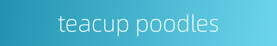 teacup poodles的同义词