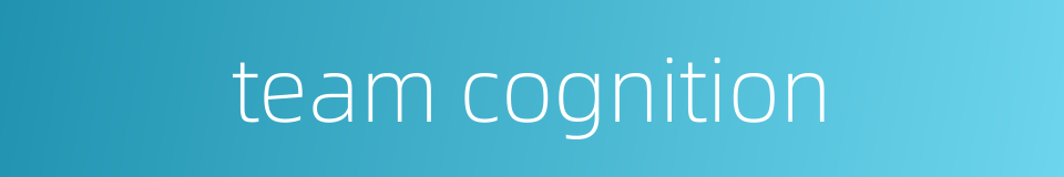 team cognition的同义词
