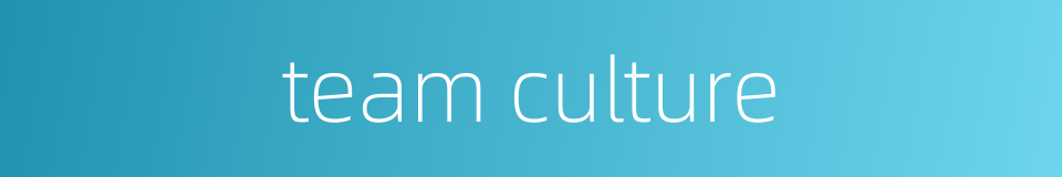 team culture的同义词