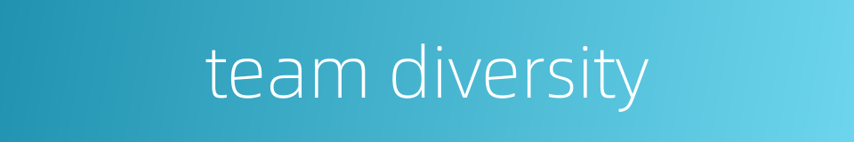 team diversity的同义词