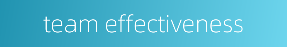 team effectiveness的同义词