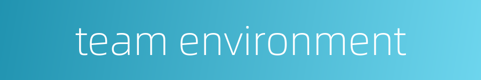 team environment的同义词