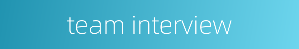team interview的同义词