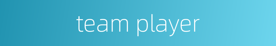team player的同义词