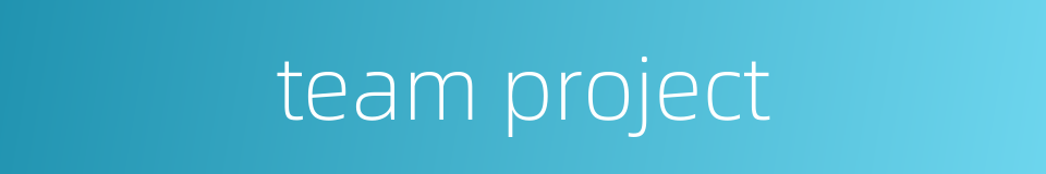 team project的同义词