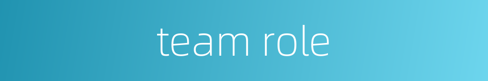 team role的同义词