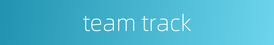 team track的同义词