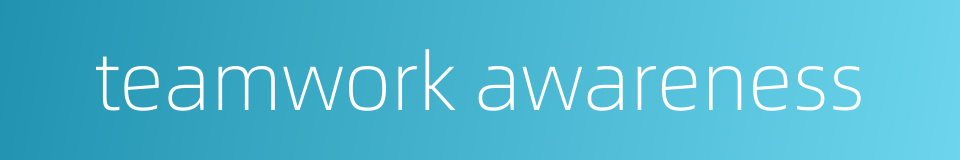 teamwork awareness的同义词