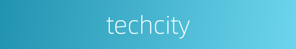 techcity的同义词