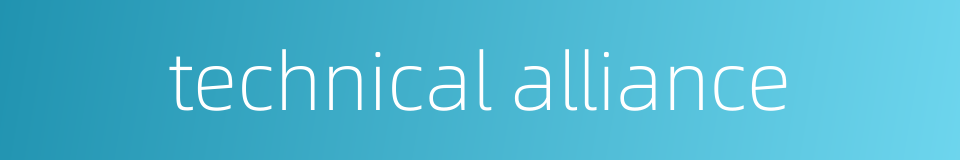 technical alliance的同义词