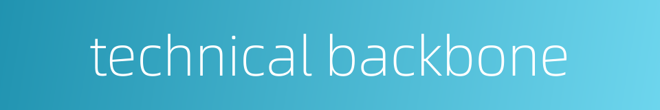 technical backbone的同义词