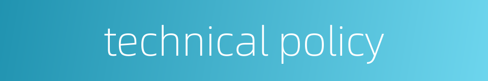 technical policy的同义词