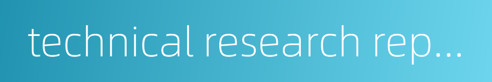 technical research report的同义词