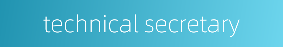 technical secretary的同义词