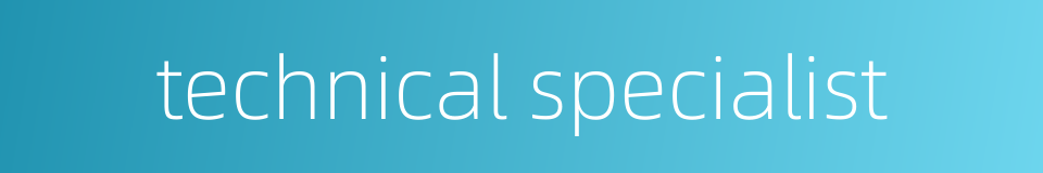 technical specialist的同义词