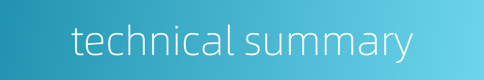 technical summary的同义词