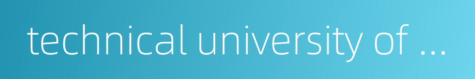technical university of braunschweig的同义词