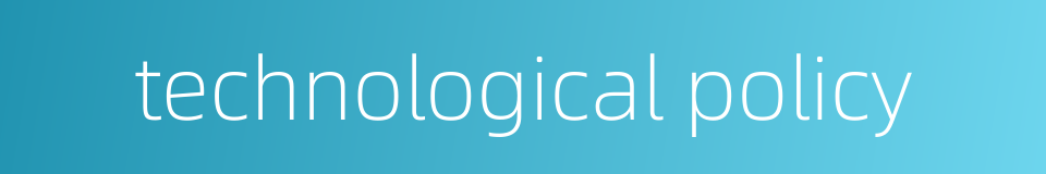 technological policy的同义词