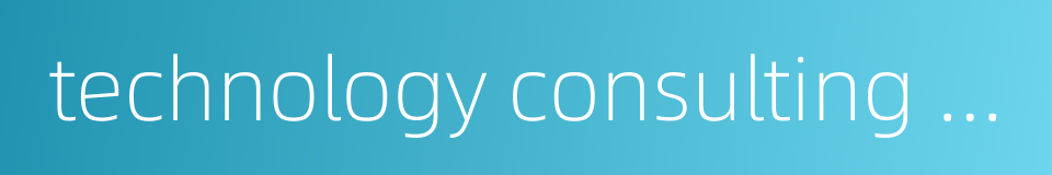 technology consulting company的同义词