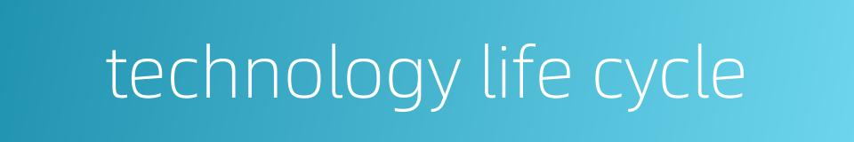 technology life cycle的同义词