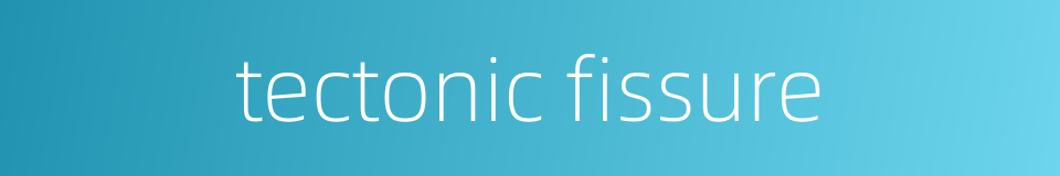 tectonic fissure的同义词