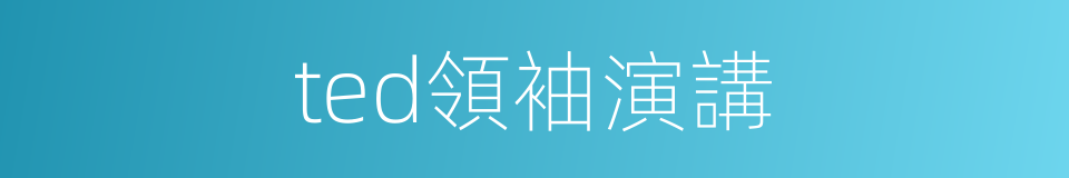 ted領袖演講的同義詞