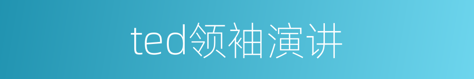 ted领袖演讲的同义词