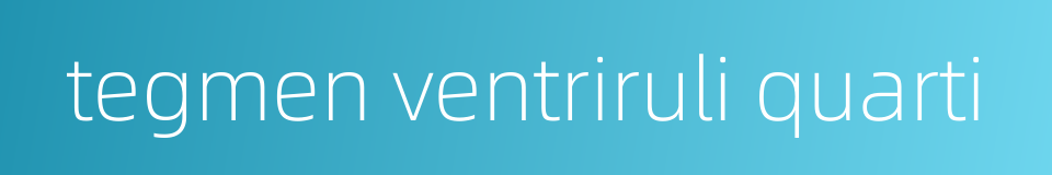 tegmen ventriruli quarti的同义词