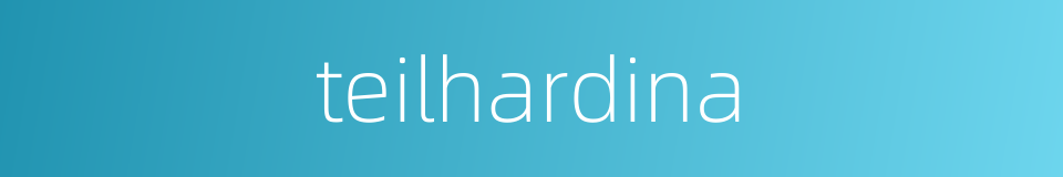 teilhardina的同义词