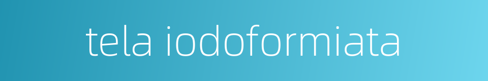 tela iodoformiata的同义词