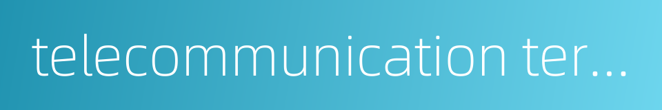 telecommunication terminal equipment的同义词