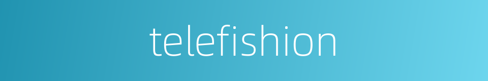 telefishion的同义词