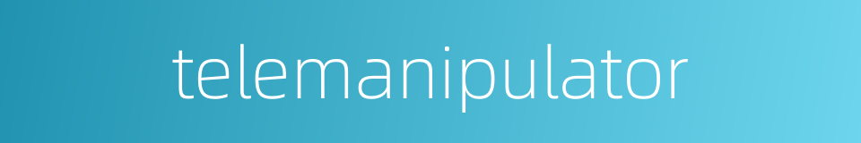 telemanipulator的同义词