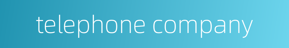 telephone company的同义词