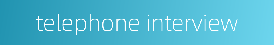 telephone interview的同义词