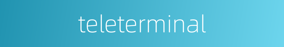 teleterminal的同义词