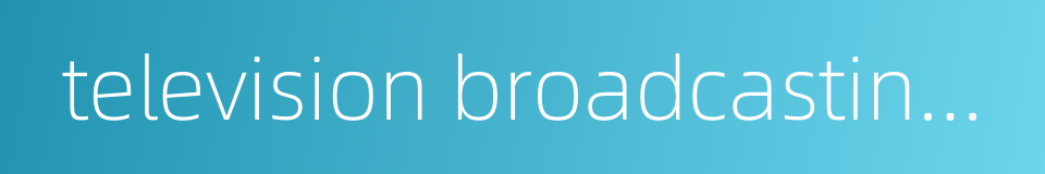 television broadcasting system的同义词