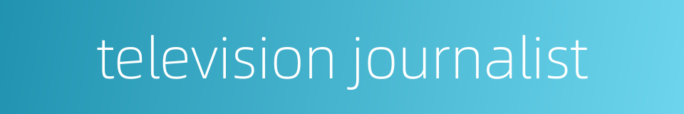 television journalist的同义词