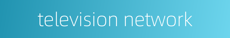 television network的同义词