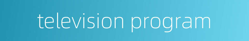 television program的同义词