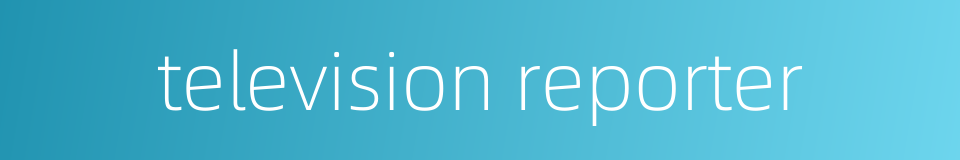 television reporter的同义词