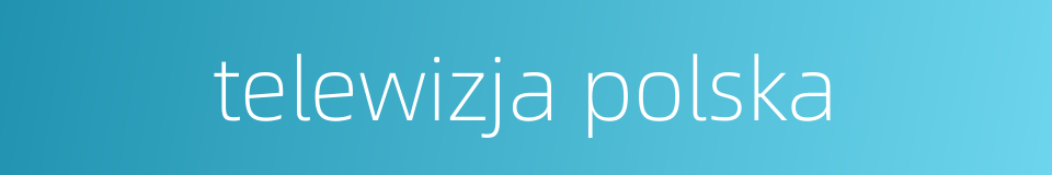 telewizja polska的同义词