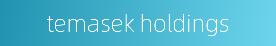 temasek holdings的同义词