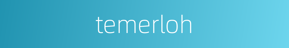 temerloh的同义词